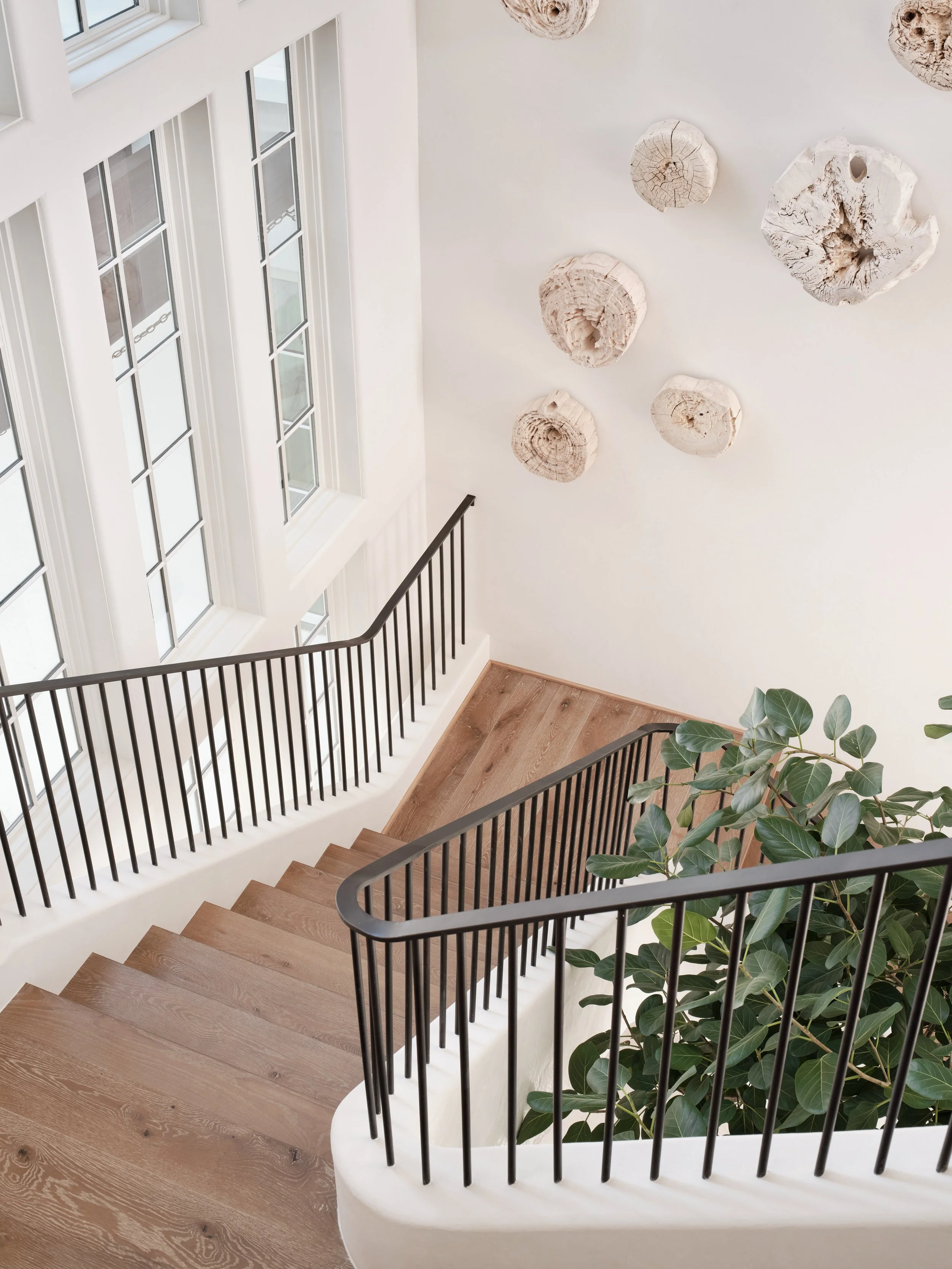 Interior view of a staircase with wooden steps, black metal railing, large windows on the side, a white wall with decorative wooden pieces, and a green leafy plant.
