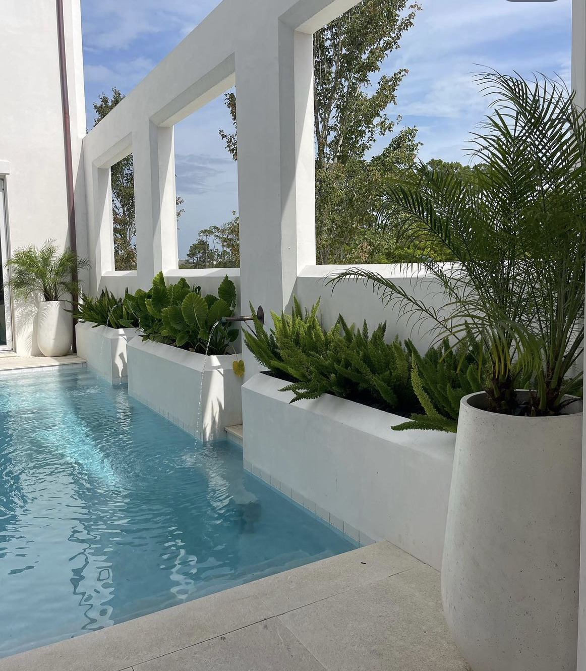 Modern outdoor pool area with white walls, large planters filled with green plants, and a view of trees and blue sky.